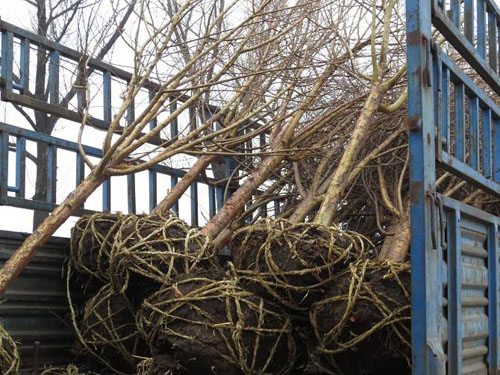 �t������