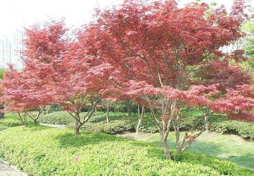 �t���Ӽ޽Ӳ�λ֦�~Ҫ���r(sh��)��ȥ