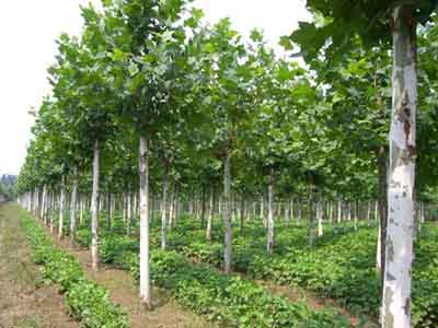 �t�������θ����^���������g