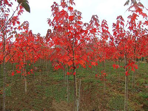 �t�����ܮa��һ�����^�p����