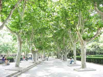 �t��ժ�ā����M�Ȱl���ӷ�֦���ٳ���