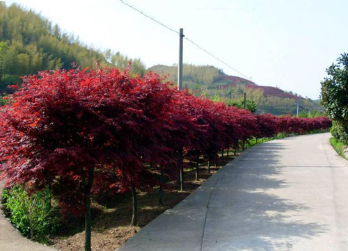 �����t��횸��l�_���L����ѿ����
